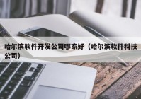 哈尔滨软件开发公司哪家好（哈尔滨软件科技公司）