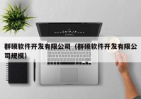 群硕软件开发有限公司（群硕软件开发有限公司规模）