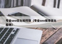 专业seo优化如何做（专业seo搜索优化服务）