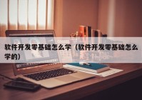 软件开发零基础怎么学（软件开发零基础怎么学的）