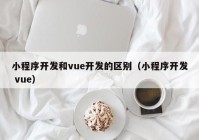 小程序开发和vue开发的区别（小程序开发 vue）