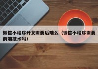 微信小程序开发需要后端么（微信小程序需要前端技术吗）