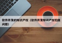 软件开发的知识产权（软件开发知识产权归属问题）