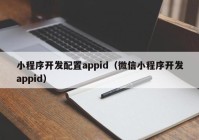 小程序开发配置appid（微信小程序开发appid）