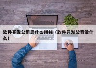 软件开发公司靠什么赚钱（软件开发公司做什么）