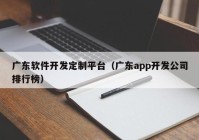 广东软件开发定制平台（广东app开发公司排行榜）