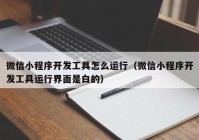 微信小程序开发工具怎么运行（微信小程序开发工具运行界面是白的）