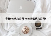 专业seo优化公司（seo排名优化公司）