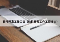 软件开发工作工资（软件开发工作工资多少）