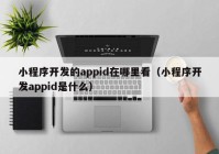 小程序开发的appid在哪里看（小程序开发appid是什么）