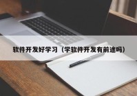 软件开发好学习（学软件开发有前途吗）