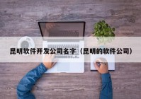 昆明软件开发公司名字（昆明的软件公司）