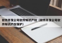 软件开发公司软件知识产权（软件开发公司软件知识产权保护）