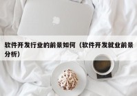 软件开发行业的前景如何（软件开发就业前景分析）